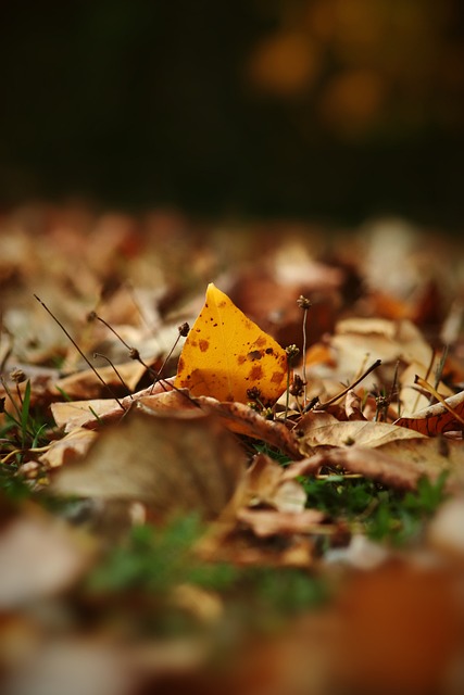 撕裂对方防 撕裂对方防