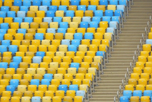 成为荷兰进 成为荷兰进