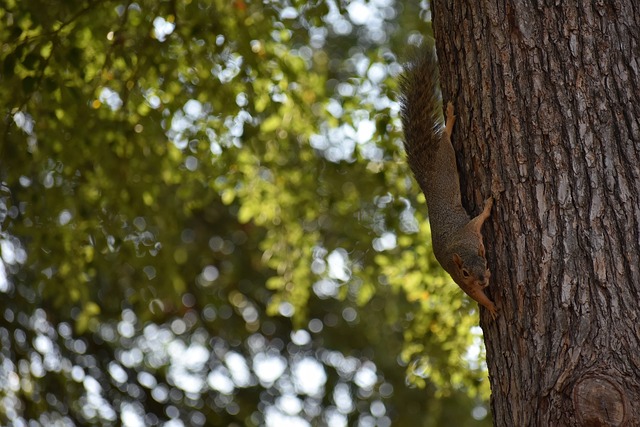 至关重要的 至关重要的