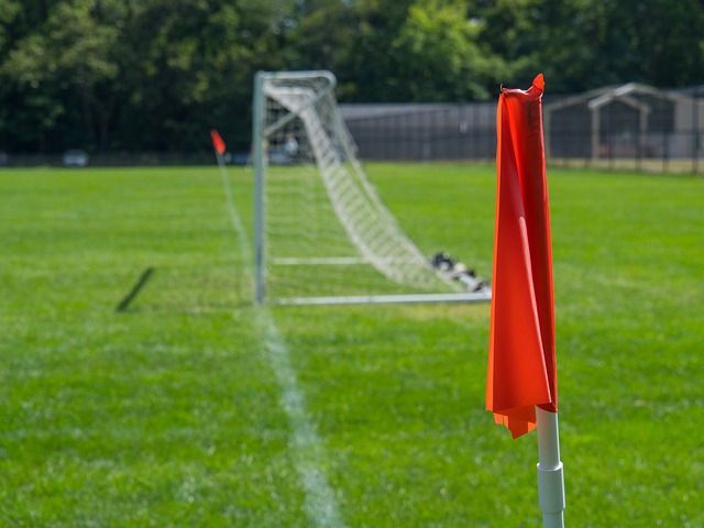 了冰雪项目 了冰雪项目