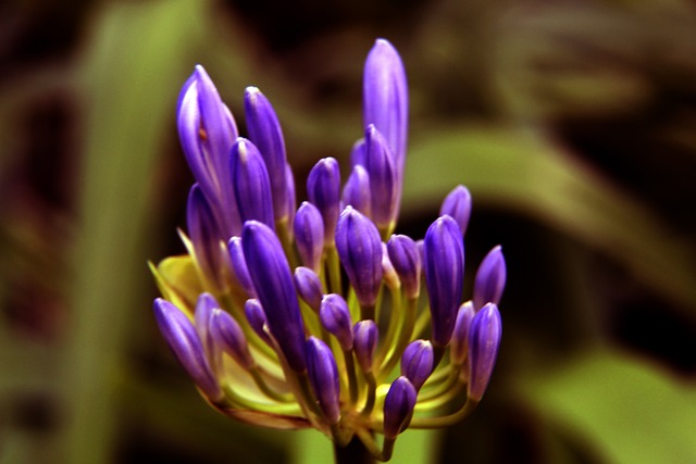 控的導火索 控的導火索