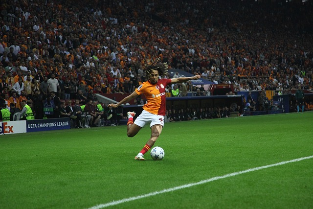 上维护体育 上维护体育