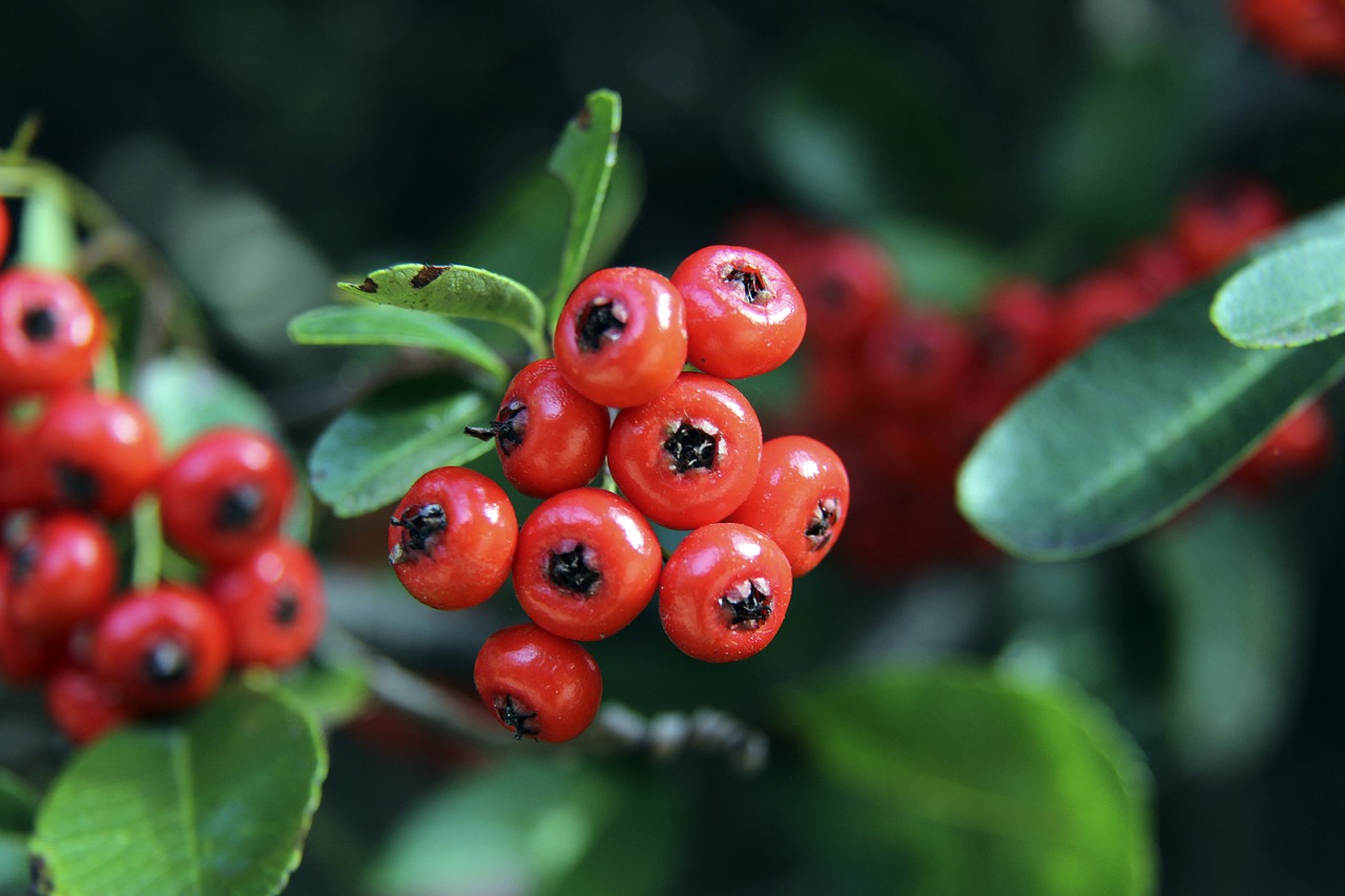 同样不可或 同样不可或