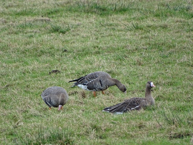 身的球場價 身的球場價