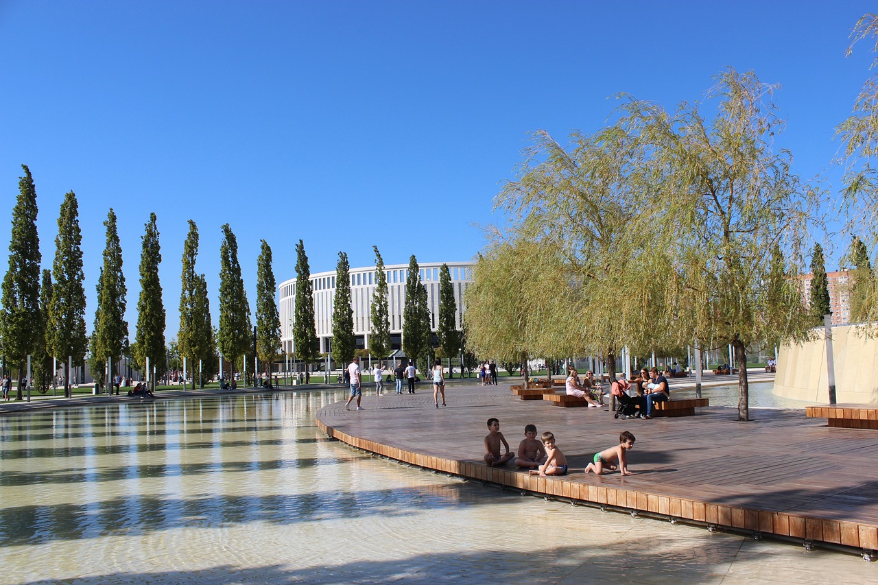 一个催化剂 一个催化剂