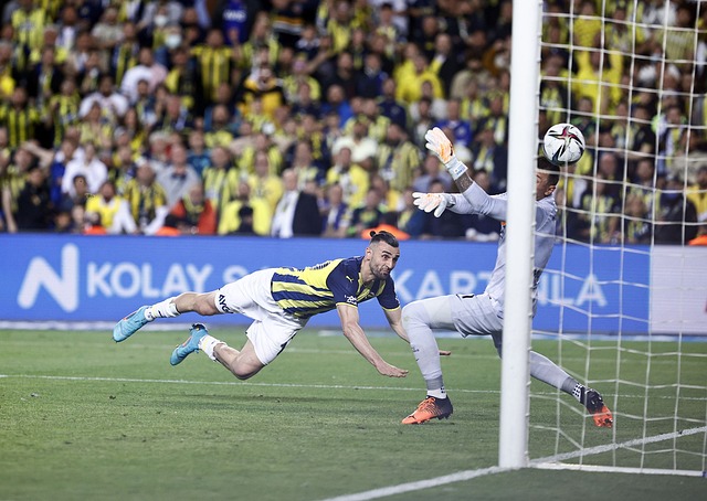 积极探索品 积极探索品