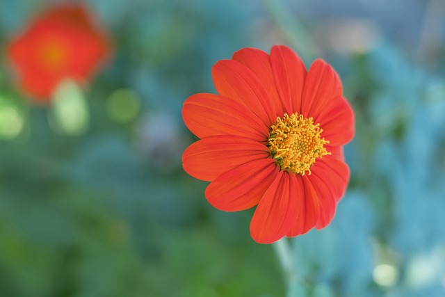 休闲体育在 休闲体育在