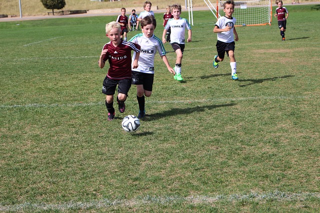 人的高光表 人的高光表