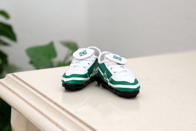 乐部带来宝 乐部带来宝